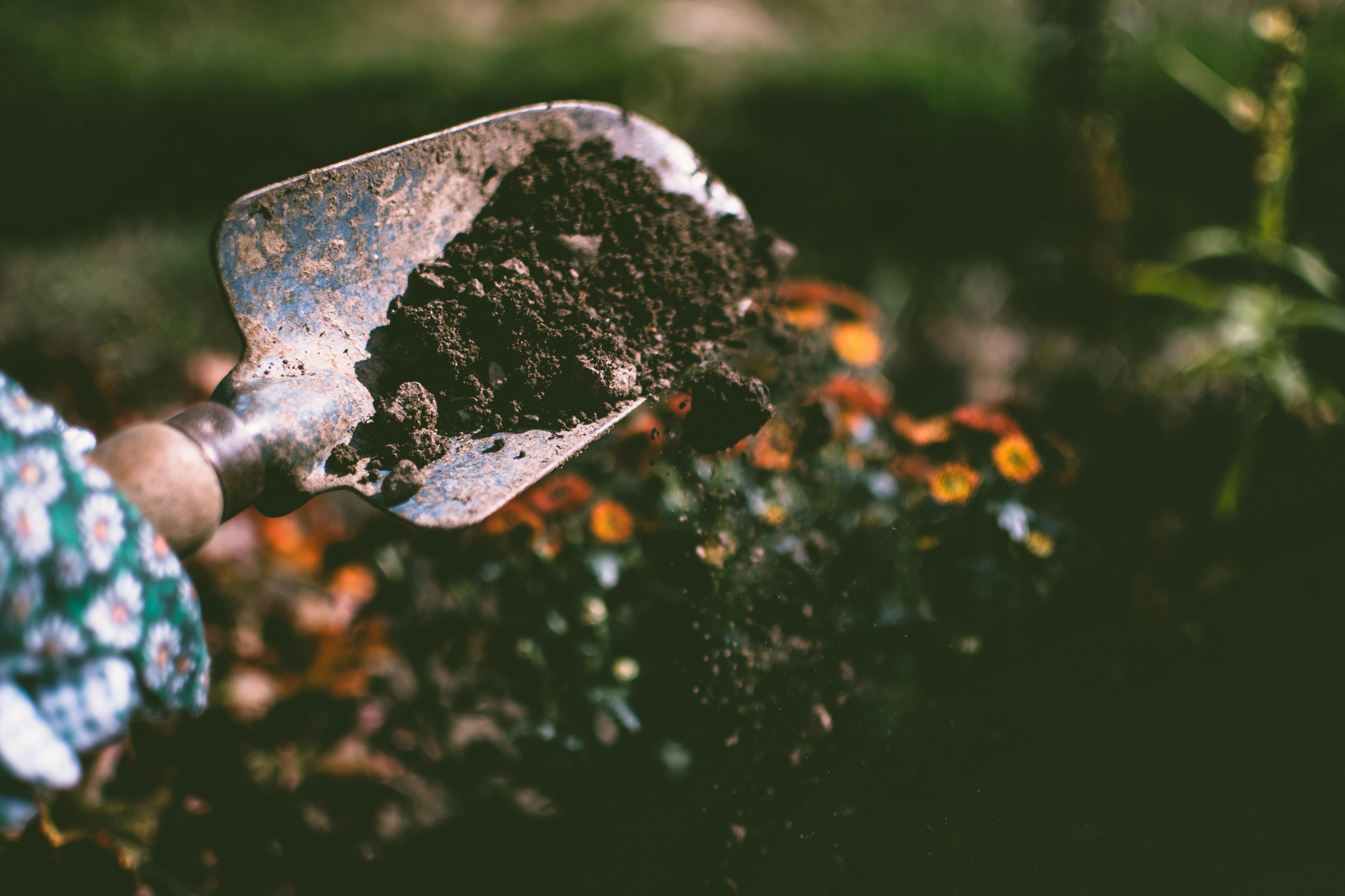 Don't Throw Out Those Coffee Grounds! Unleash the Power of Spent Coffee Grounds in 2025