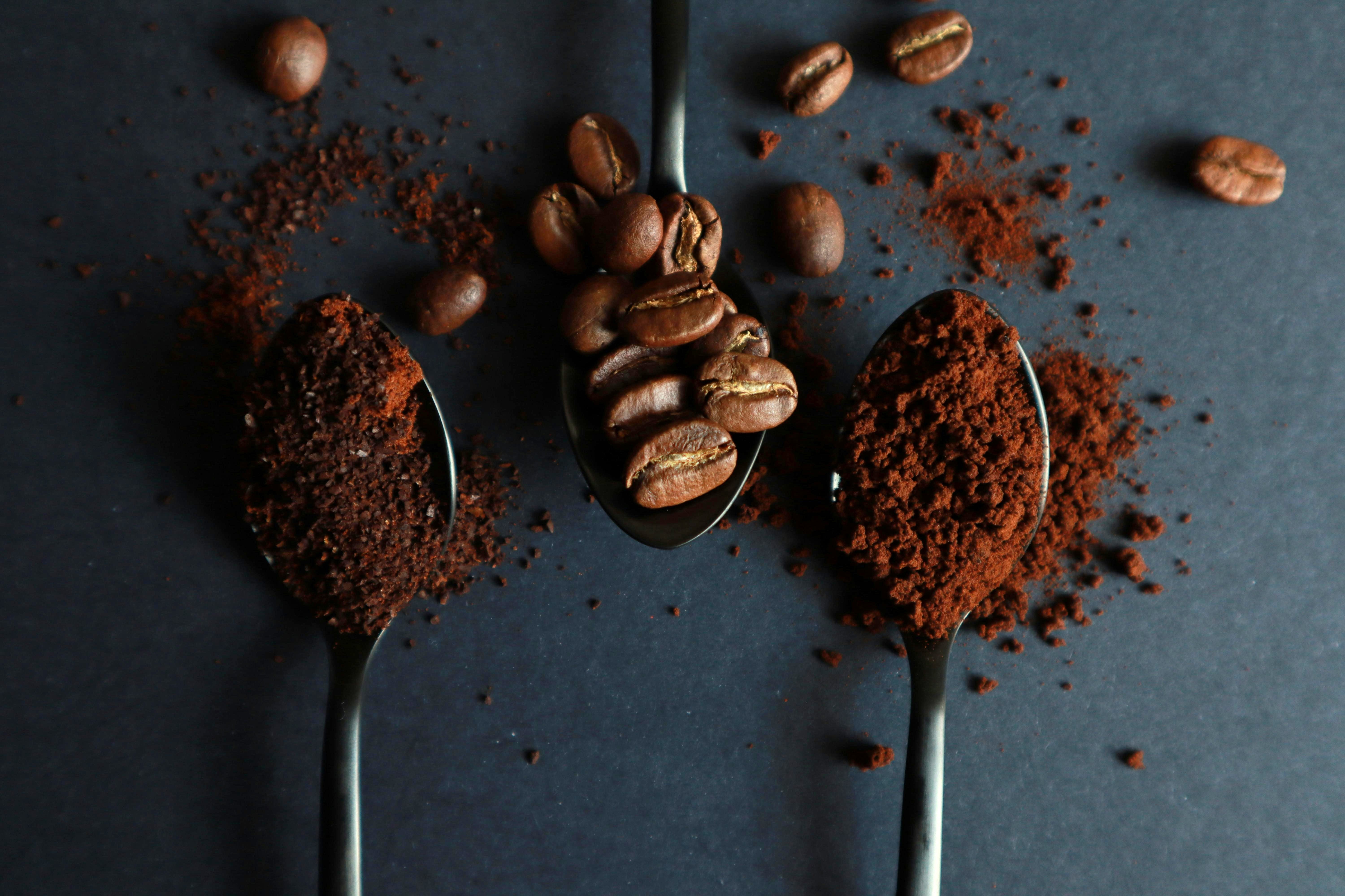 Whole Bean vs. Ground Coffee: Decoding the Differences for the Ultimate Flavor Experience
