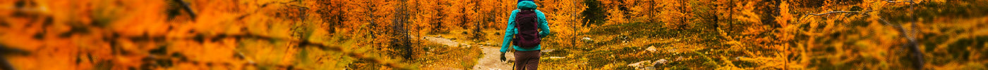 Fall Camping: Chasing Colors, Campfire Coffee, and Crisp Morning Hikes