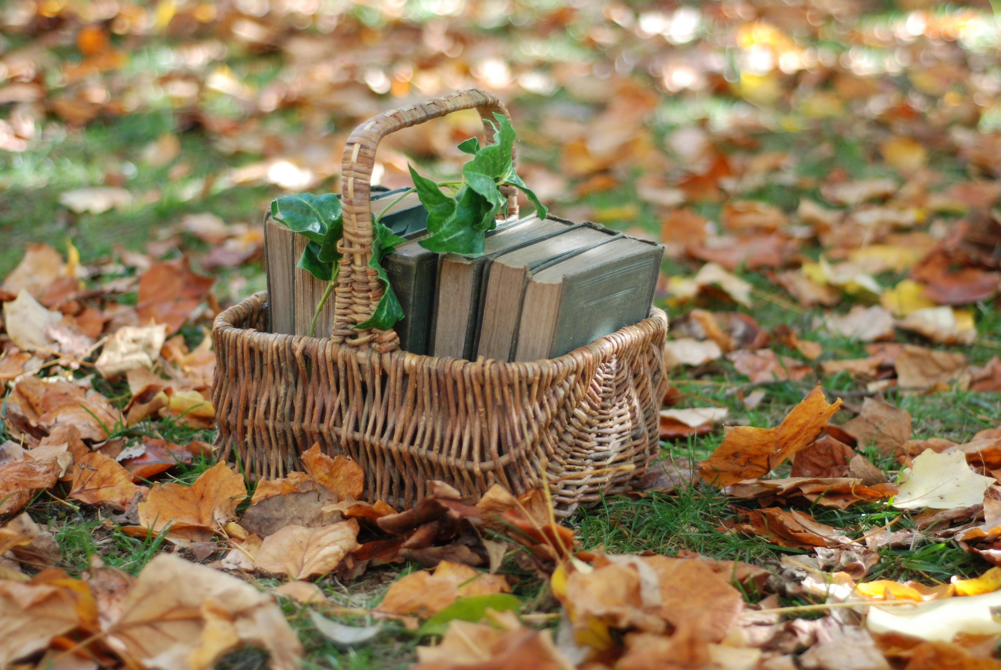 Brewing Up Pumpkin Spice Coffee for Fall: Your Guide to Cozy Autumn Mornings