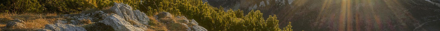 Coffee Accessories and Unforgettable Nature Experiences